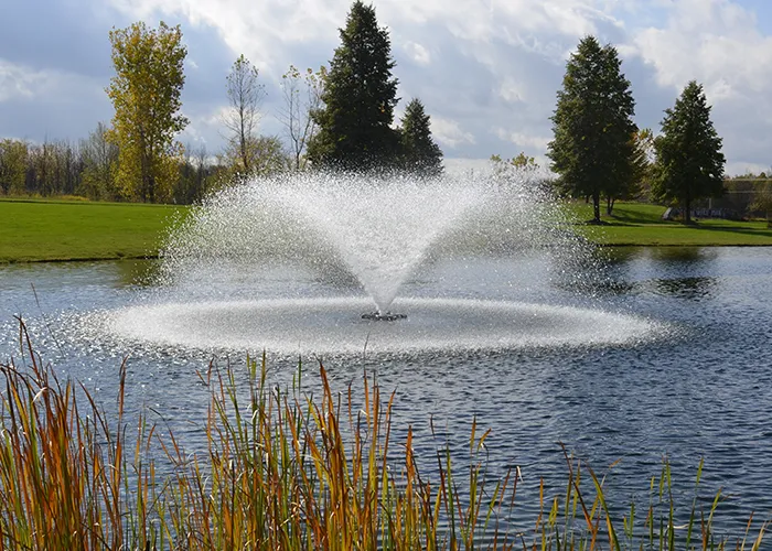 Fountain